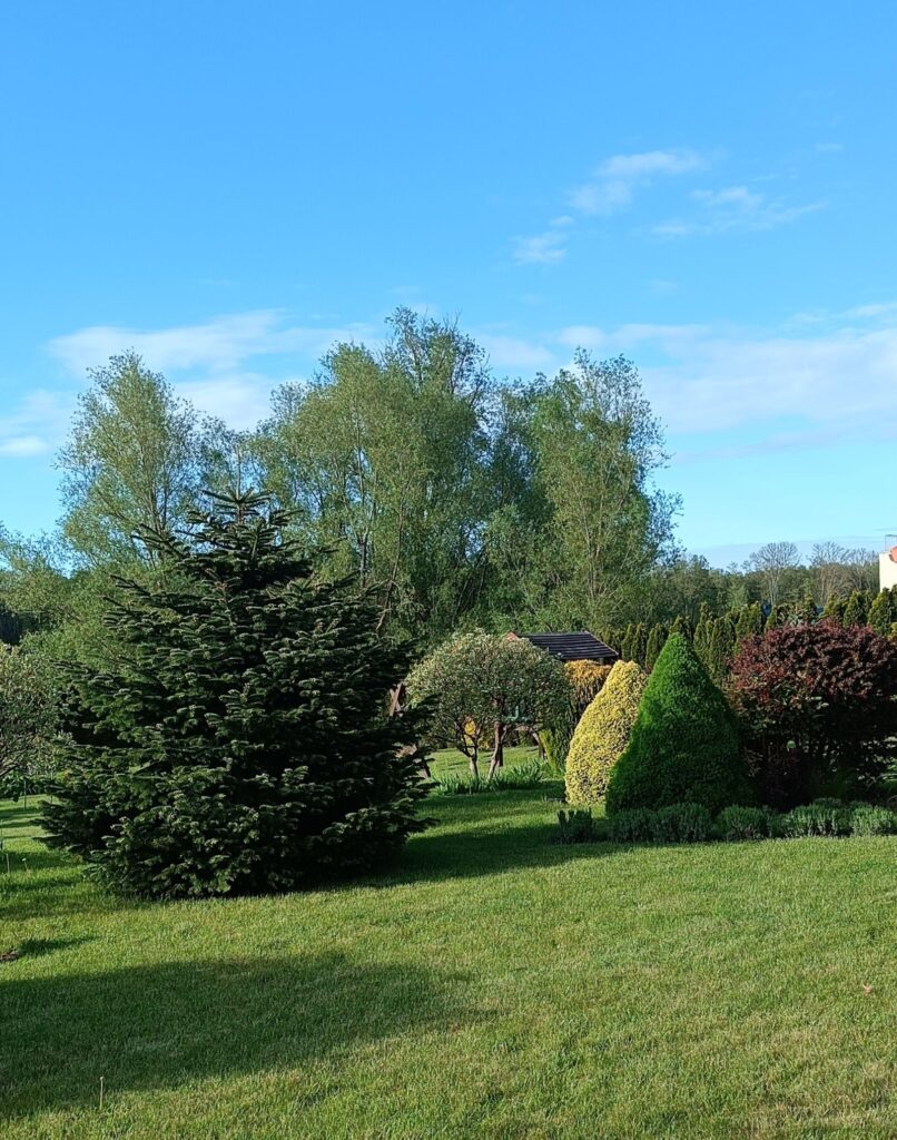 1719496253293_042617