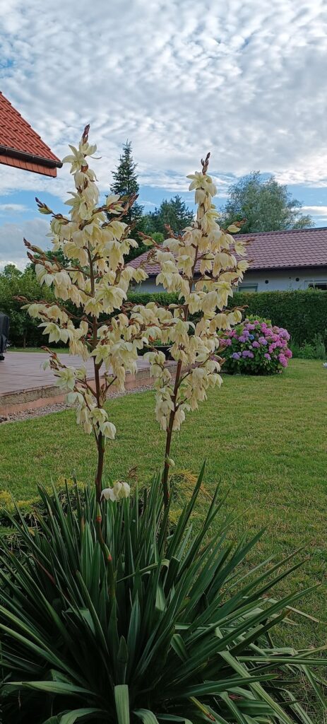 1719496253347_042558