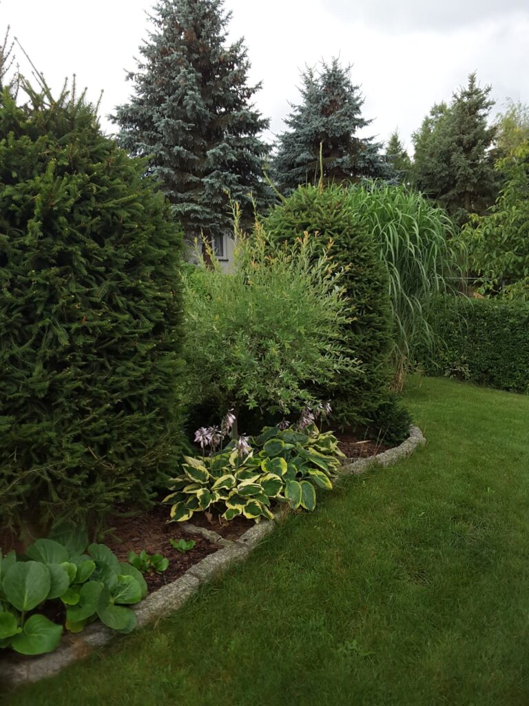 20210802_082432_1653076133985