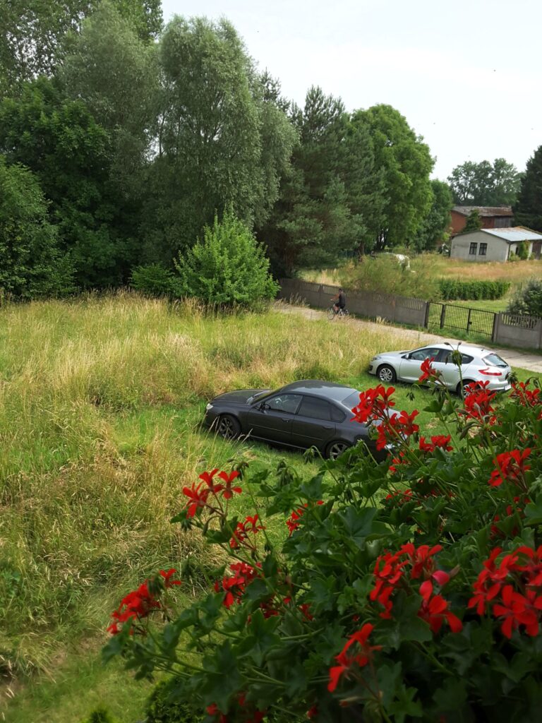 20240630_132028_042405